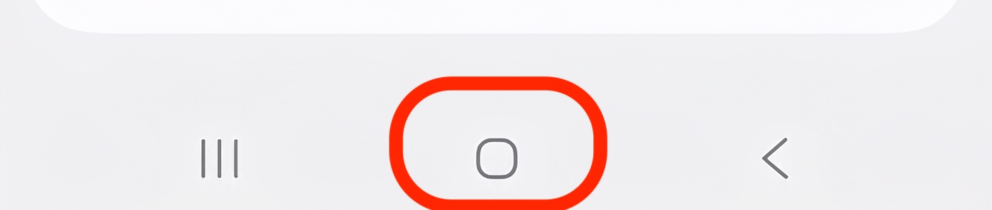 Home button