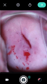 Screenshot_20240903-095019-1